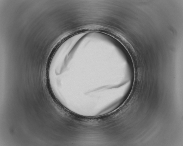 X0000113001229200909241254