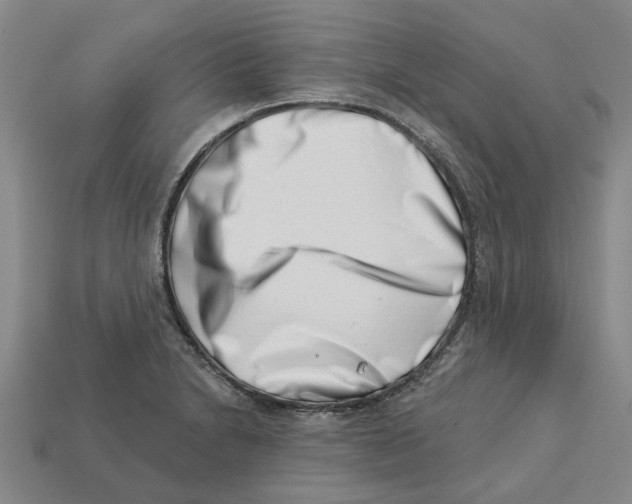 X0000113001230200909241254