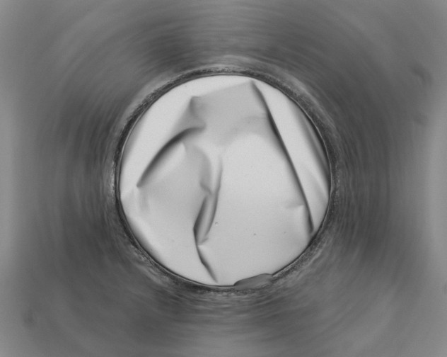 X0000113001232200909241254