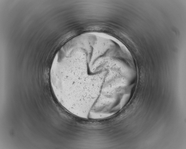 X0000113001233200909241254