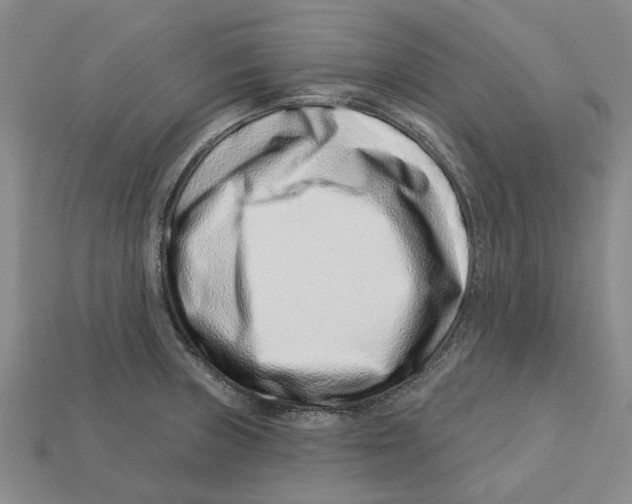 X0000113001235200909241254