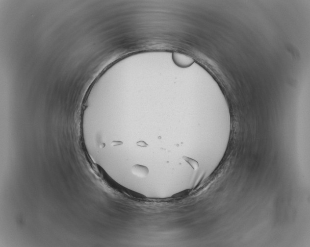 X0000113001236200909241254