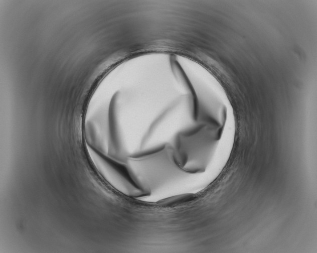 X0000113001238200909241254