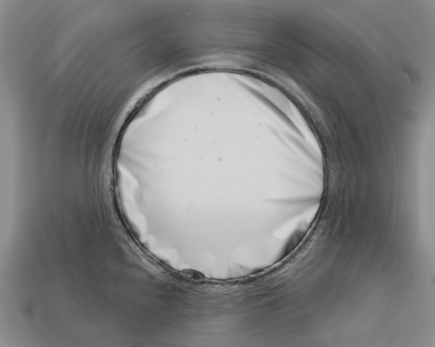 X0000113001240200909241255