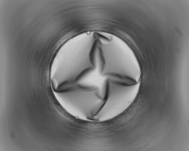 X0000113001242200909241255