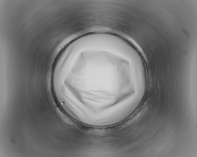 X0000113001245200909241255