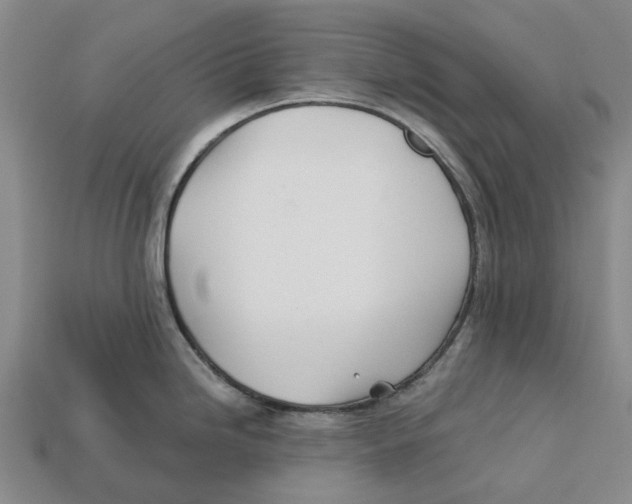 X0000113001246200909241255