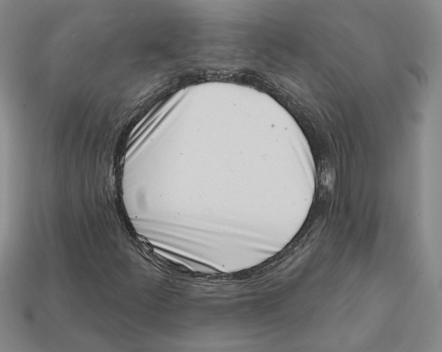 X0000113001252200909241254