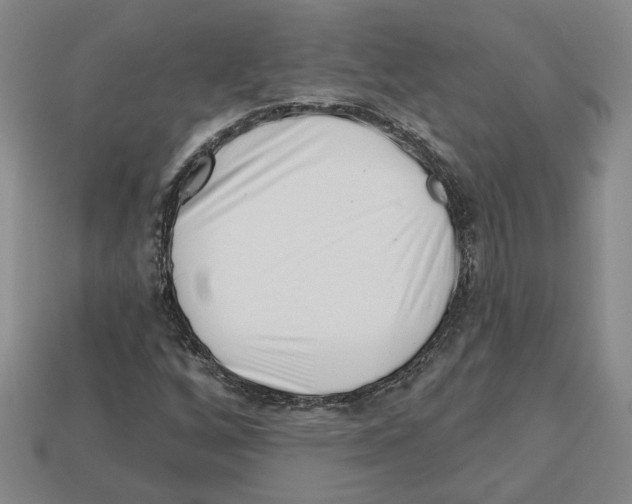 X0000113001256200909241254