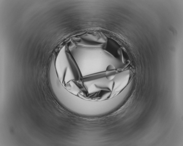 X0000113001257200909241254