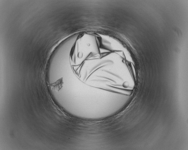 X0000113001260200909241254