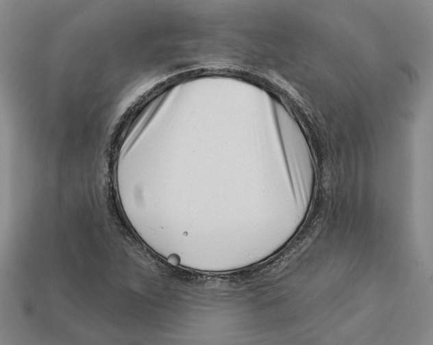 X0000113001263200909241254