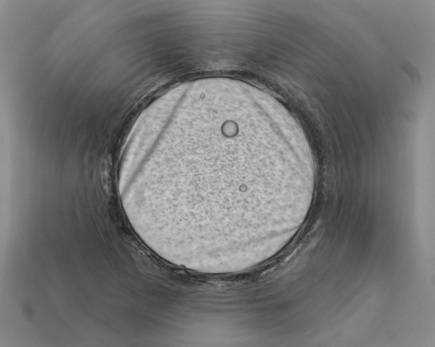 X0000113001265200909241254