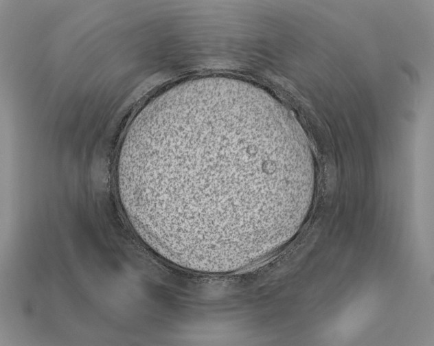 X0000113001266200909241254