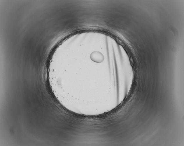 X0000113001269200909241253