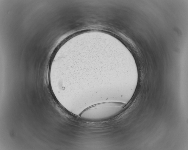 X0000113001272200909241253