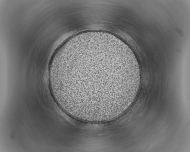 X0000113001286200909241253