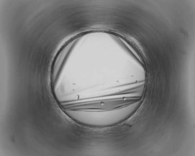 X0000113001288200909241253