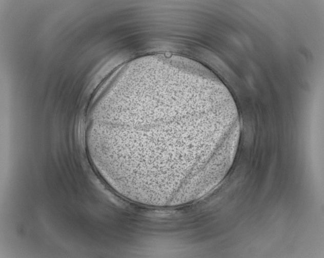 X0000113001290200909241253