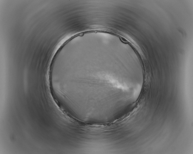 X0000113001291200909241253