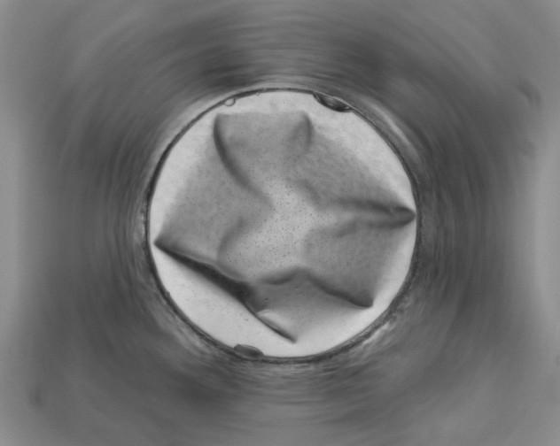 X0000113001292200909241253