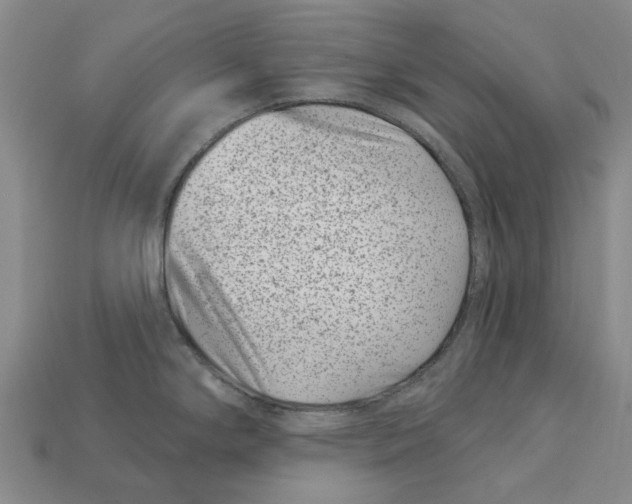 X0000113001294200909241253