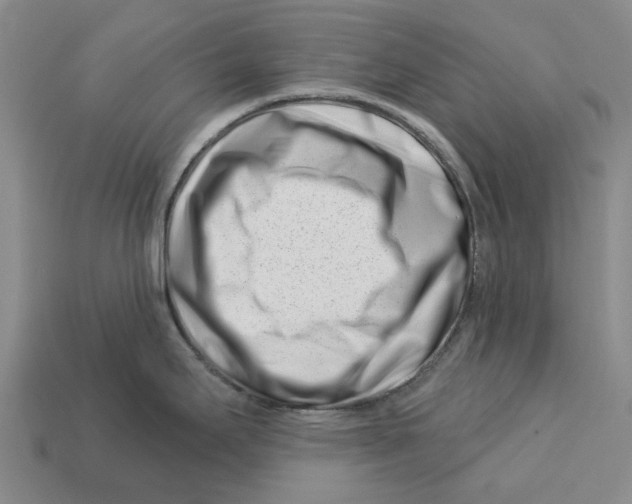 X0000113001295200909241253