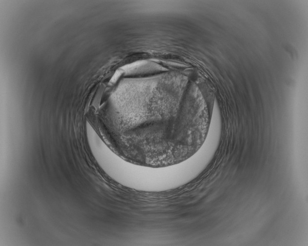 X0000113001298200909241252