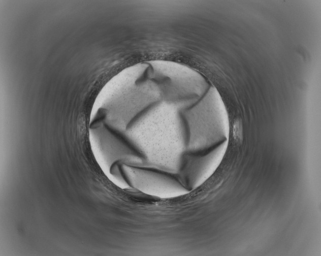 X0000113001299200909241252