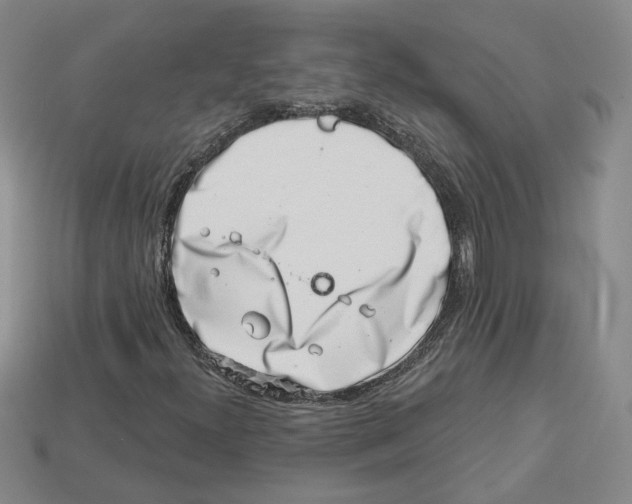 X0000113001300200909241252