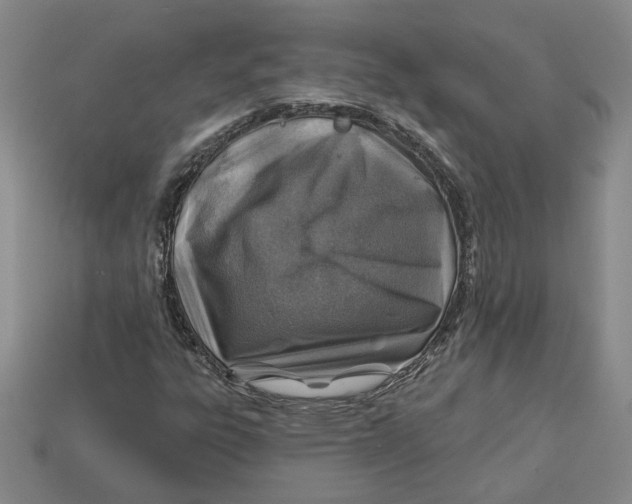 X0000113001303200909241253