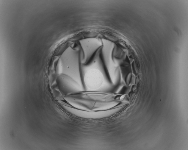 X0000113001304200909241253