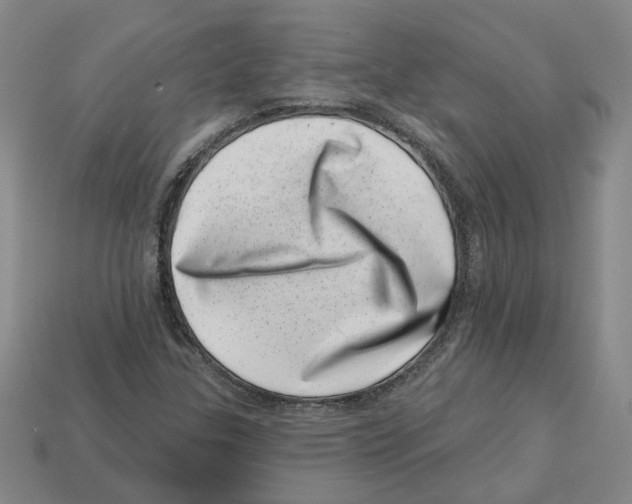 X0000113001307200909241253