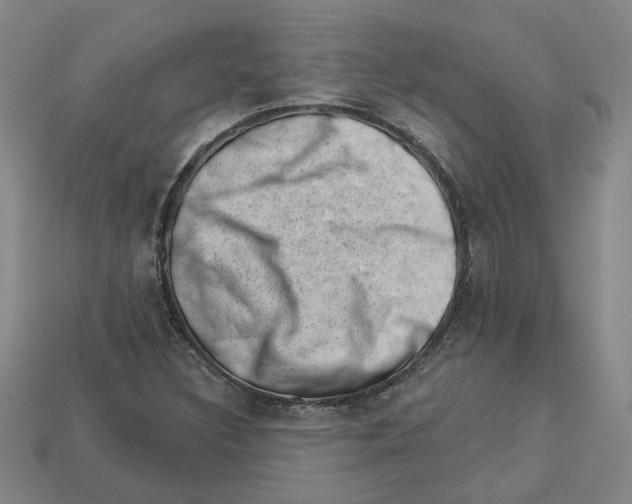 X0000113001308200909241253