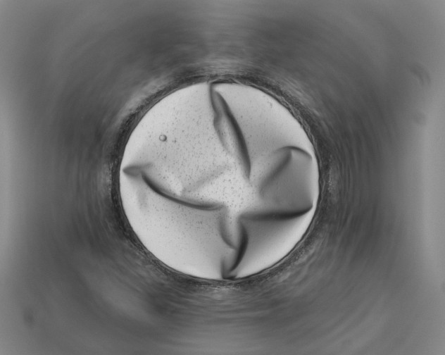 X0000113001309200909241253