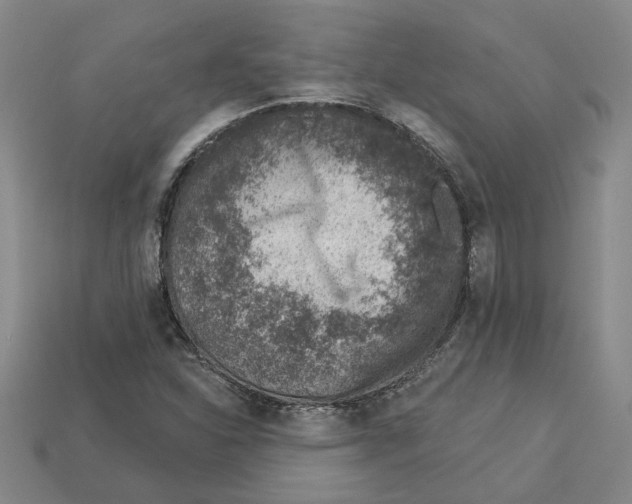 X0000113001310200909241253