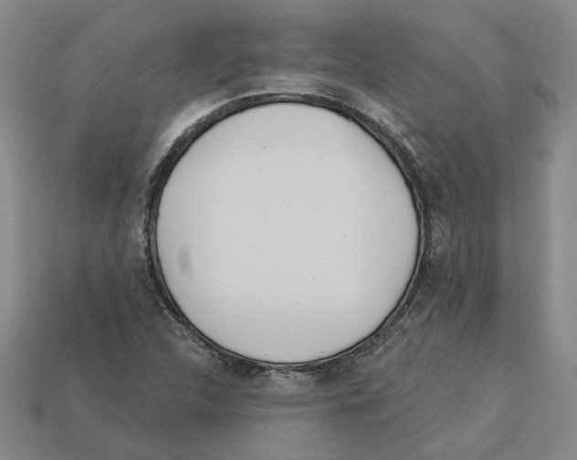 X0000113001312200909241253