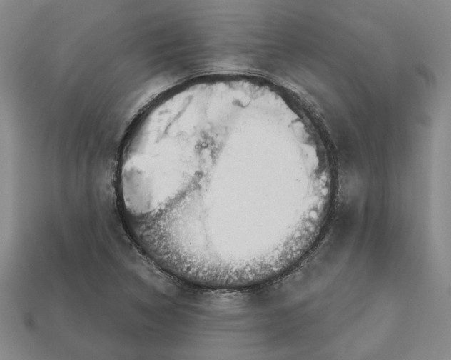 X0000113001314200909241253