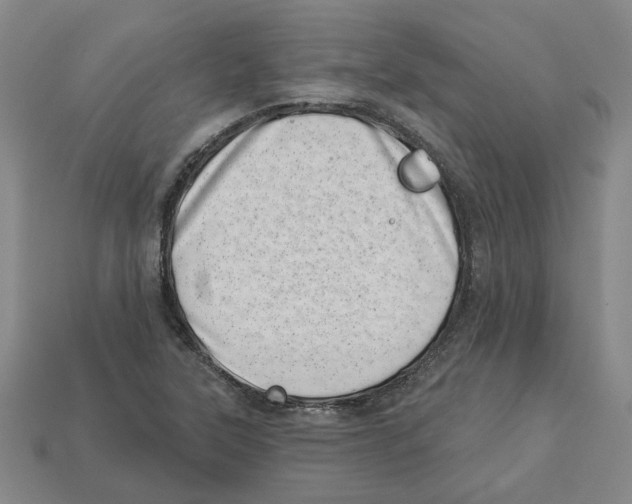 X0000113001315200909241253