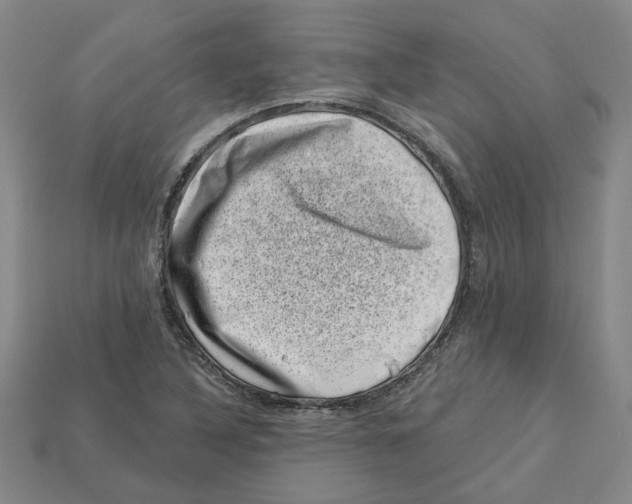 X0000113001316200909241253