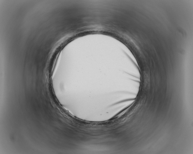 X0000113001318200909241253