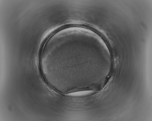 X0000113001319200909241253