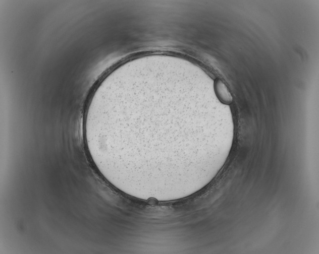 X0000113001320200909241253