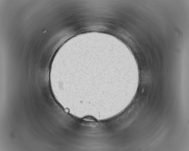 X0000113001322200909241253