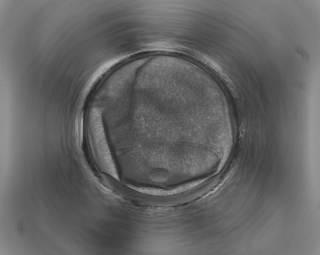 X0000113001323200909241253