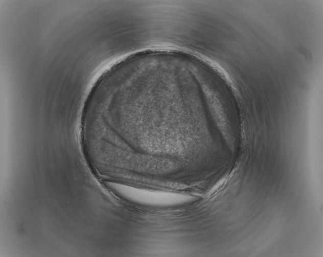 X0000113001327200909241253