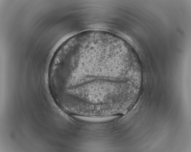 X0000113001331200909241253