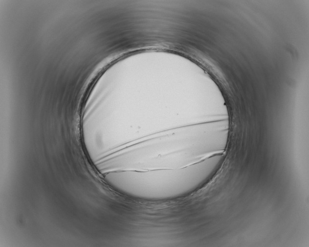 X0000113001332200909241253