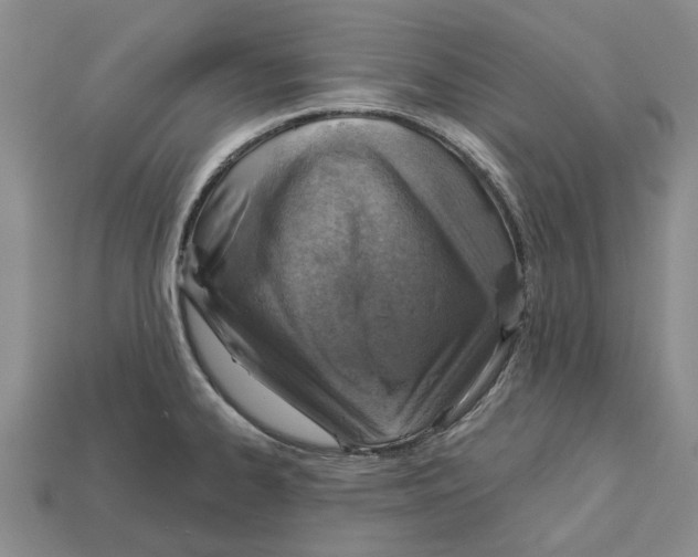 X0000113001334200909241253