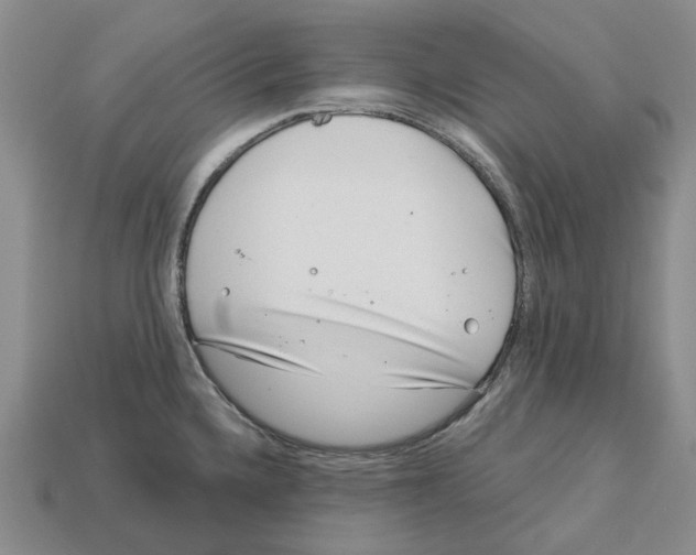 X0000113001336200909241253